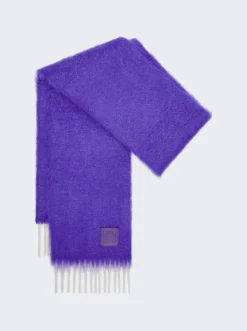 Loewe Scarf In Wool And Mohair Purple
